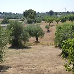 Casa Delle Rondini
