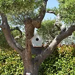 Casa Delle Rondini Bed & Breakfast