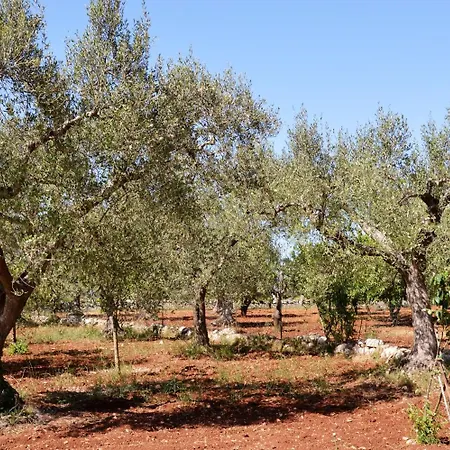 Casa Delle Rondini לינה וארוחת בוקר 3*