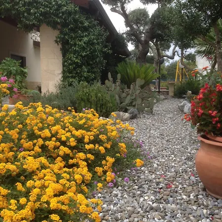 Casa Delle Rondini לינה וארוחת בוקר אלברובלו