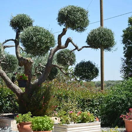 Casa Delle Rondini