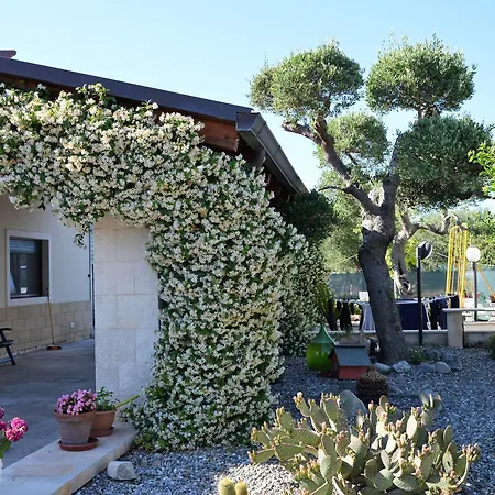 Casa Delle Rondini 3* 阿尔贝罗贝洛