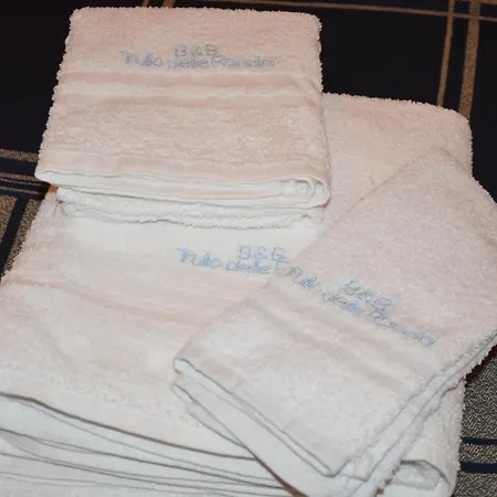 Casa Delle Rondini 3* 阿尔贝罗贝洛