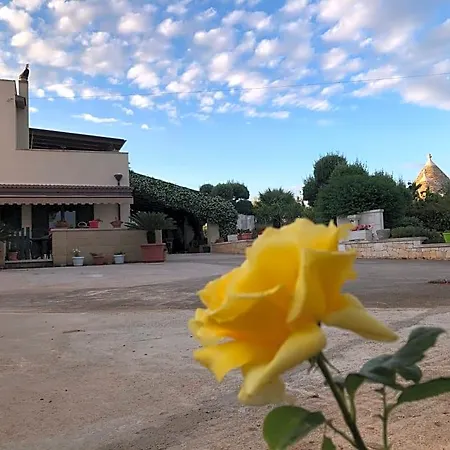 Casa Delle Rondini 阿尔贝罗贝洛