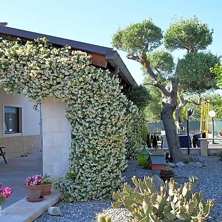 Casa Delle Rondini 3* 阿尔贝罗贝洛