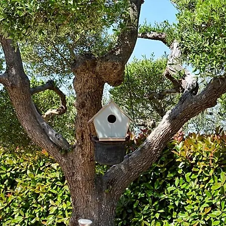 Casa Delle Rondini לינה וארוחת בוקר 3*