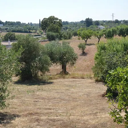Casa Delle Rondini
