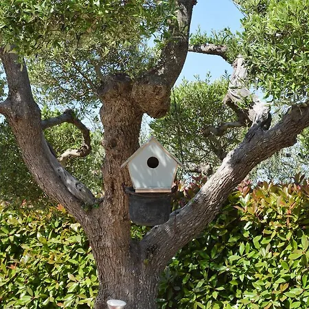 Casa Delle Rondini Bed & Breakfast