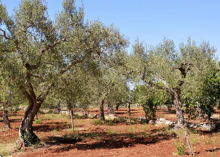 Casa Delle Rondini Couette-café 3*